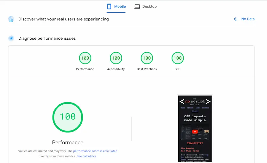 Screenshot of  a Page Speed Insights test showing a 100 score.