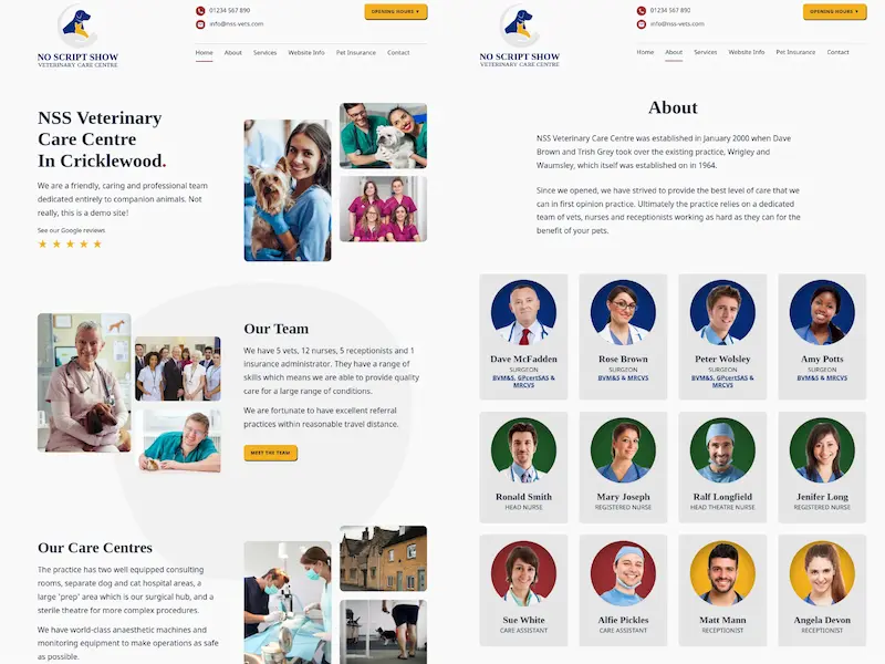 Screenshot of our vets demo website.